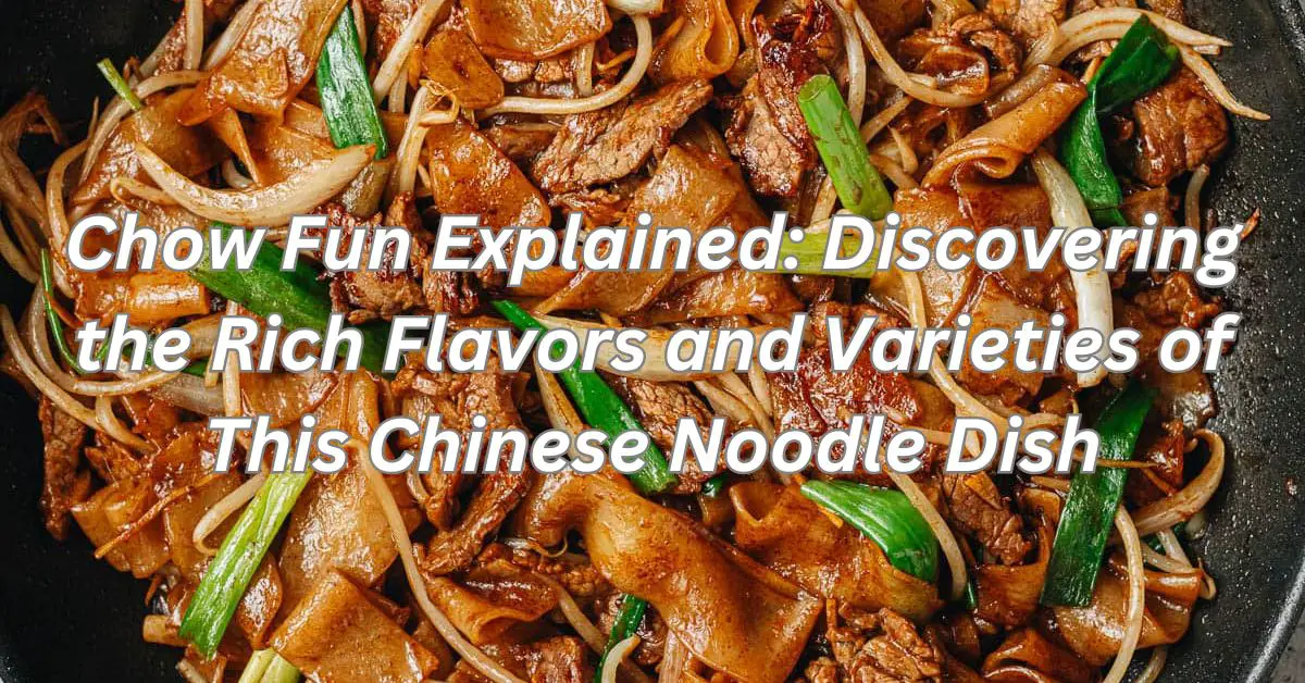 Chow Fun Explained: Discovering the Rich Flavors and Varieties of This Chinese Noodle Dish